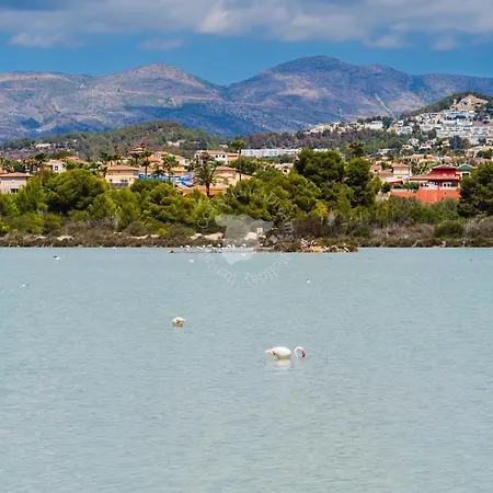 Costablancadreams Apolo 12 2d In Apartament Calpe