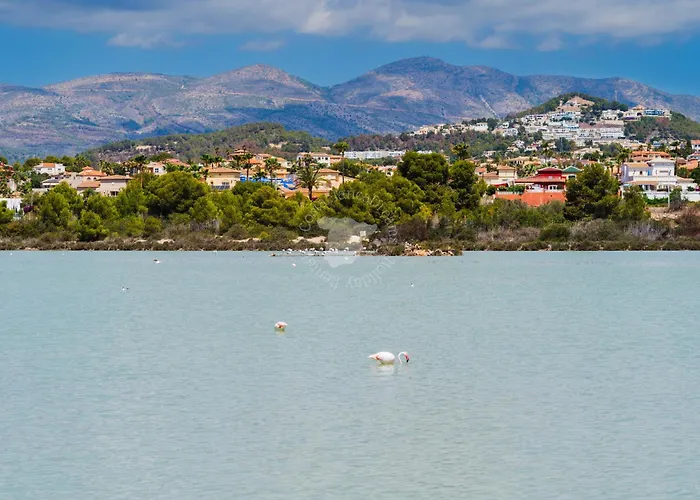 Costablancadreams Apolo 12 2d In Appartement Calpe